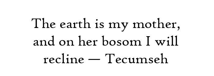 Quote opt 2.jpg
